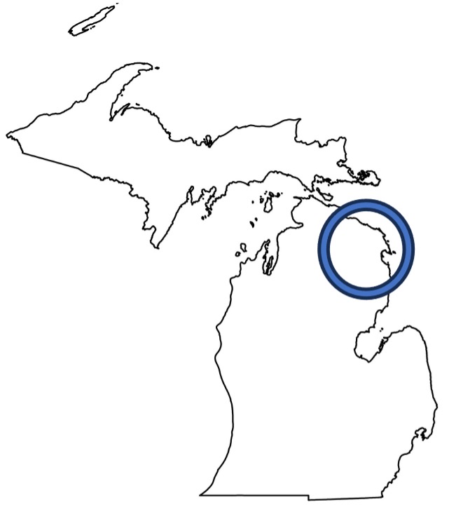 Michigan Map with a circle designating the region for this report.